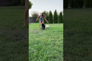 cutest puppies 🤗 playing