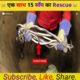 एक साथ 15 साँप का Rescue 😨 #shorts #viralvideo #trending #viral