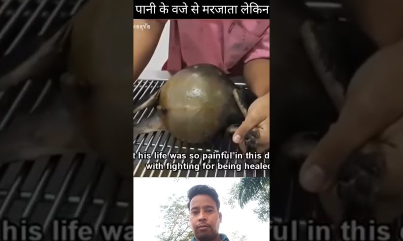 कुत्ता का पेट फटने वाला था पानी की वजे से 😱😱😭 || dogs rescue|| animal rescue #shorts #youtubeshorts