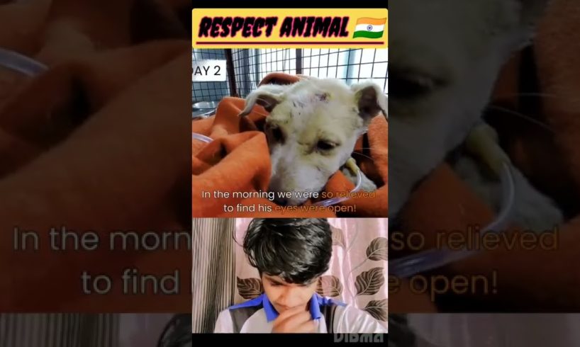 कुत्ते का पिल्ला जिएगा मरेगा पता भी नहीं //😭 #animal #rescueteam #shorts #amazingfact #ytshorts