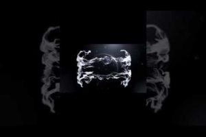 खतरनाक जानवरो की लड़ाई || Animal fights || शेर vs भैसा|| जानवरो की अजीबो गरीब लड़ाई || #shorts