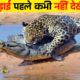 जंगली जानवरों की खतरनाक लड़ाइयाँ | Craziest Fights of Wild Animals | Animal Fights in Hindi | Animals