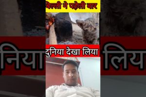 बिल्ल ने पहेली बार दुनिया देखा ||  || cat rescue videos|| cat rescues kitten #shorts #trendingvideos