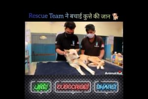 रेस्क्यू टीम ने बचाया कुत्ते की जान @MR. INDIAN HACKER #dog #rescue #animals