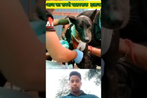 रेस्क्यू टीम वाले आसा काम किया मां ना ही पडेगा 😱#shorts #trending video #animal rescue