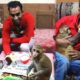 हमें देखकर देखिए कहाँ चढ़कर बैठ गया बज़रंगी | Badaun Animal Rescue Team Shelter | Part 3