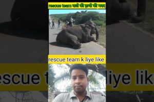 हाथी ने मदद की गुहार की😱||animal rescue||elephent rescue#shorts #trending video #animal rescue