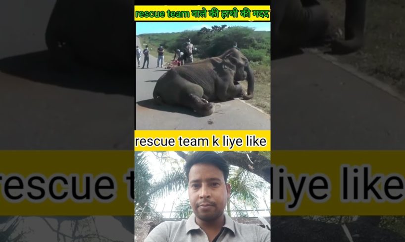 हाथी ने मदद की गुहार की😱||animal rescue||elephent rescue#shorts #trending video #animal rescue