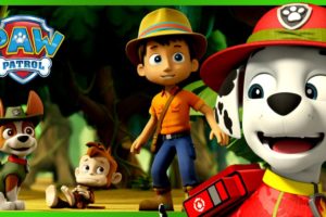 1 Hour of Marshall Rescues! 🔥 | PAW Patrol | Cartoons for Kids Compilation