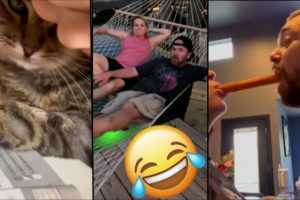 Funny Videos 2022 | Instant Regret | Fails Of The Week | Fail Compilation 2022 |  fails videos 1