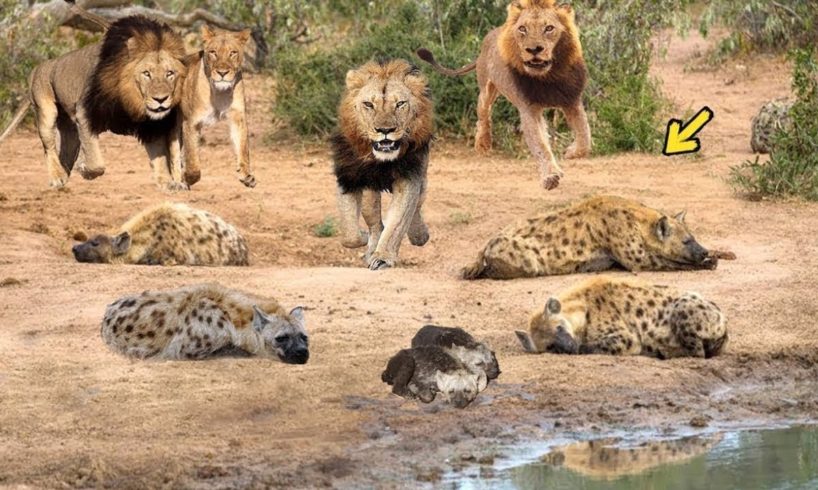 30 Most Merciless Battles Between Wild Animals