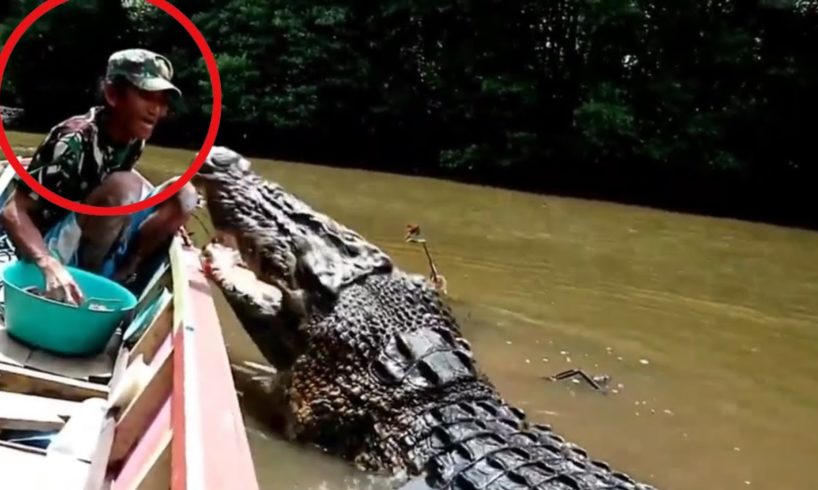 5 Crocodile encounters that make you hot and cold‼️