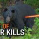 50 Bear Kills in 15 Minutes! (ULTIMATE Bear Hunting Compilation) | BEST OF