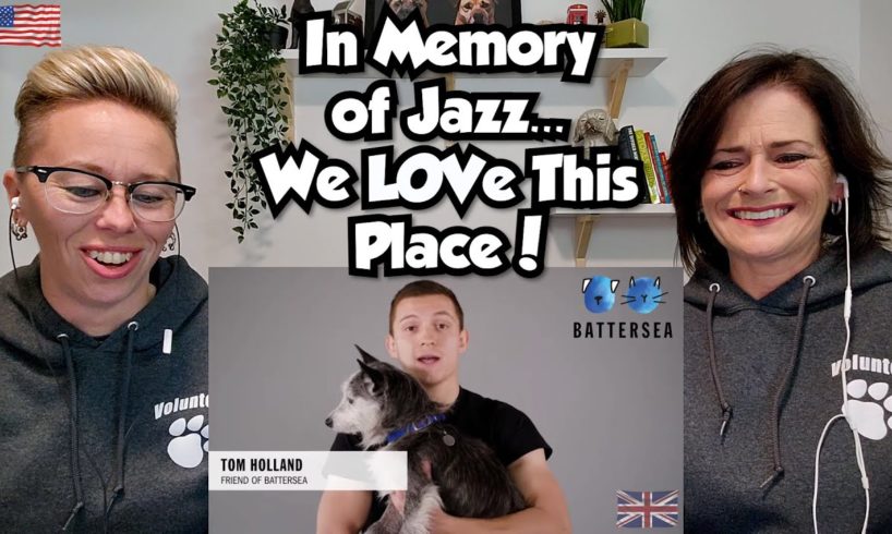 American Couple Reacts: England's Battersea Dogs & Cats Home! Animal Rescue is SO Crucial! For Jazz
