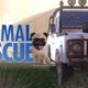 Animal Rescue - Reveal Trailer