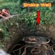 Animal Rescue Team Rescues 2 Giant Snake Into Water Well | King Snake Vlogs