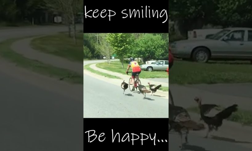 Best Fails of the Week | Best fails of the week 649 #shorts #shortsfeed #humor #HUMOROUSFAILS 😀🤣🤣🤣😃😃