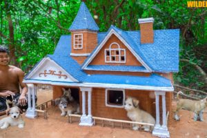 Build Mud Villa House For Cute Puppies - Rescue Dog - Dog House