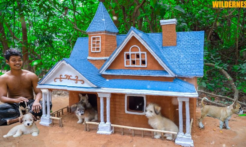 Build Mud Villa House For Cute Puppies - Rescue Dog - Dog House