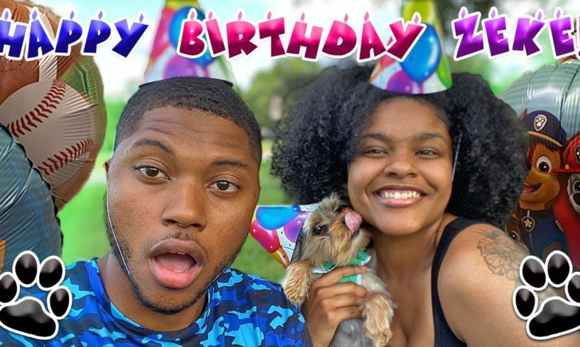 CELEBRATING OUR YORKIE'S HALF BIRTHDAY | CUTEST PUPPY UPDATE 🥳🎉