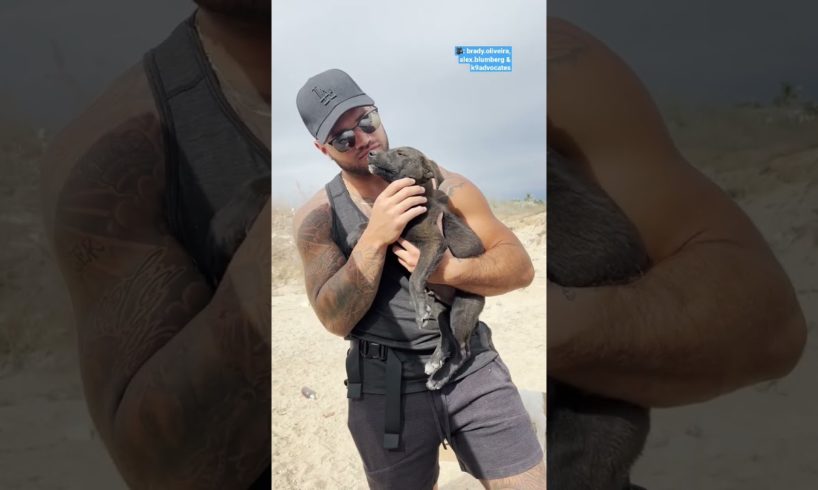 Couple Saves The Cutest Puppy From The Side Of The Road | The Dodo