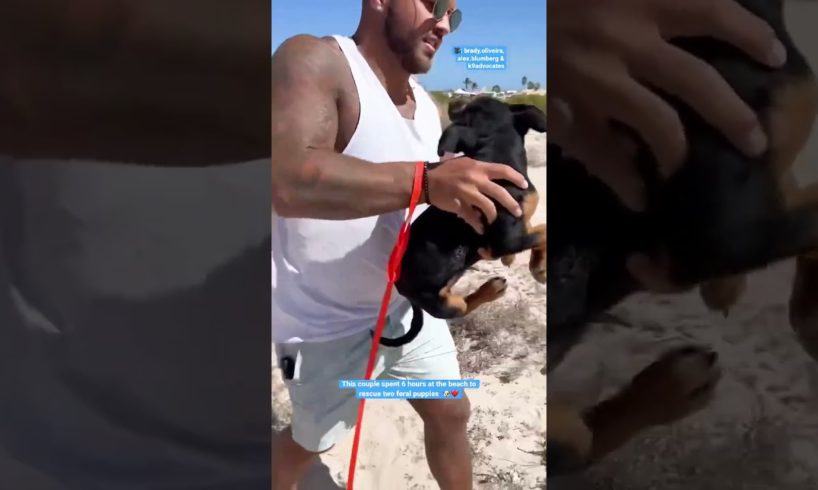 Couple Tries Rescuing Two Puppies for Six Hours At The Beach | The Dodo