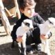 Cute baby goat videos , Funny Cutest baby playing children animals Sound