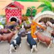 DIY Amazing Mini Farm Village, Country Farm - Build Animals Farm Diorama - Cattle Farm