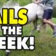 DUMBEST People In The World!  Try Not To Laugh Challenge! 😂 Funniest Fails of the Week Part 5