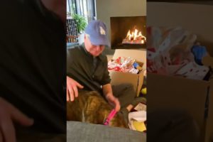 Dad Bursts Into Tears When He Gets To Keep His Foster Dog | The Dodo