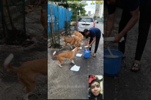 Dog rescue Team Respect 🙏💯🔥😱🔥 #respect