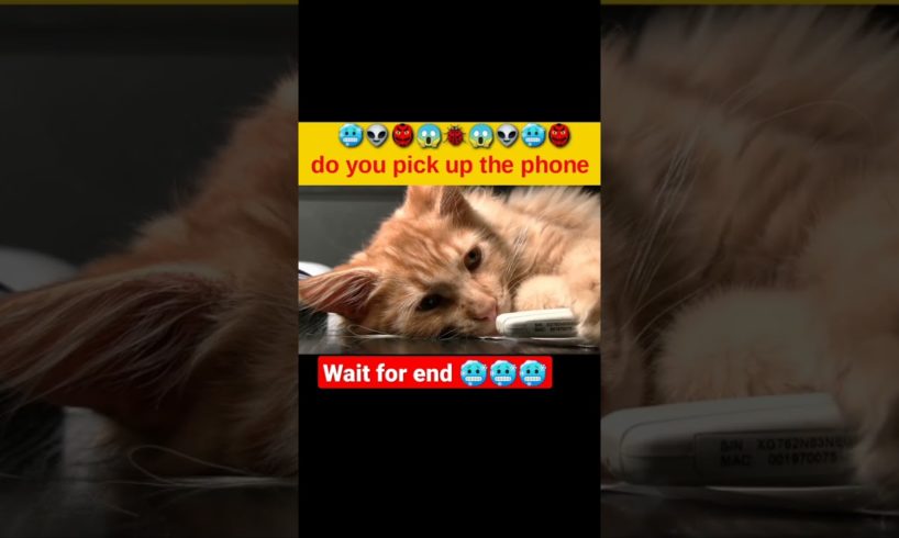 Dogs Doing Funny Things Tik Tok ~ Cutest Puppies TIKTOK Compilation ~ Fluppy