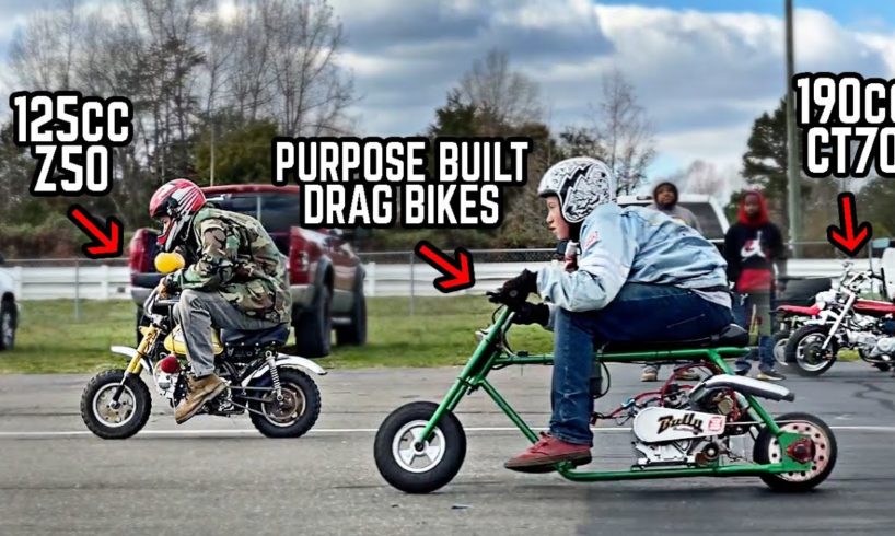 Drag Racing with our 5 FASTEST Mini Bikes! 190cc CT70, 225cc Mega Moto, 108cc Z50 + More!