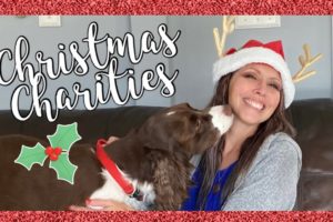Hoarders ❤️ Christmas Charity Vlog | Operation Santa Paws Animal Rescue Preview