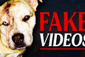 How Animal Rescue Videos Are Faked (Ft. Nexpo)
