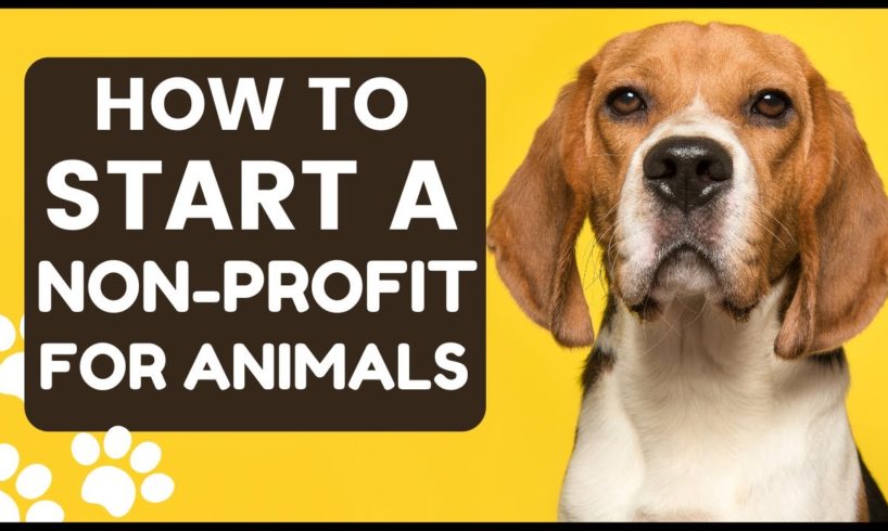 How to start a Nonprofit Organization for Animal Rescue | Animal Sanctuary for Dogs, Cats, etc.