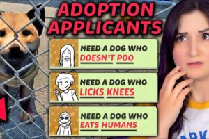 I Tried Working At A Dog Shelter …but Only Creepy People Wanted To Adopt Them