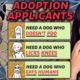 I Tried Working At A Dog Shelter …but Only Creepy People Wanted To Adopt Them