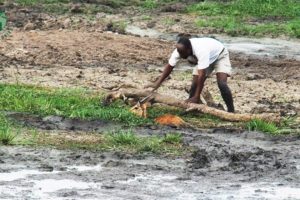 Impala about to Suffocate in Mud Lucky Helpe by Human - Animal Rescue | Rescue Stories