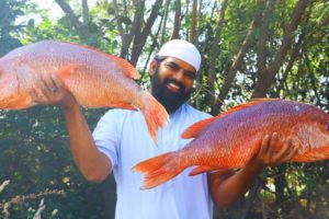 Incredible Giant Red Snapper Fish Fry on Stone (Patthar) | Patthar ka Fish by Nawab's Kitchen