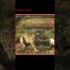 Jaguar playing with dog | jaguar vs dog #shorts #animals #wildlife #dog #jaguar
