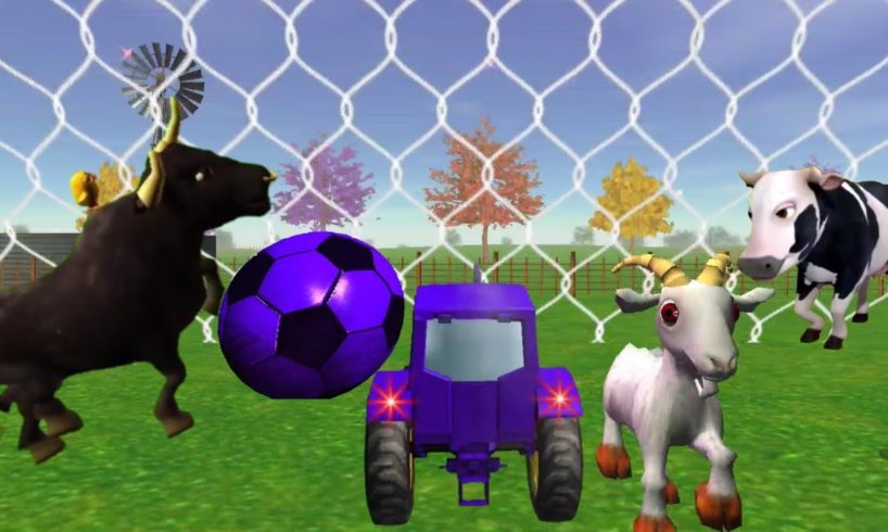 Jugando fútbol con los animales de la Granja, Animales haciendo meta  Animals playing soccer
