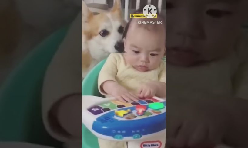 Little Boy Learned To Crawl By Chasing His Dogs | The Dodo