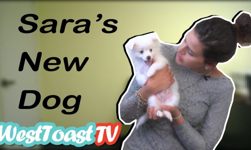 MEET VALO THE CUTEST PUPPY EVER!!!! feat. SAARA