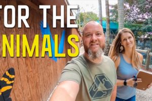 OUR FIRST FOS EVENT | NEW HOMES FOR RESCUED ANIMALS | RVING THE FLORIDA EVERGLADES  S7 || Ep115