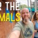 OUR FIRST FOS EVENT | NEW HOMES FOR RESCUED ANIMALS | RVING THE FLORIDA EVERGLADES  S7 || Ep115