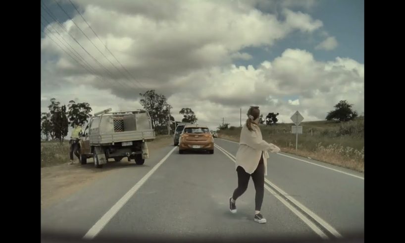 People are awesome - The dog chase