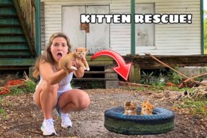 RESCUED KITTENS FOUND AT ABANDONED HOUSE!