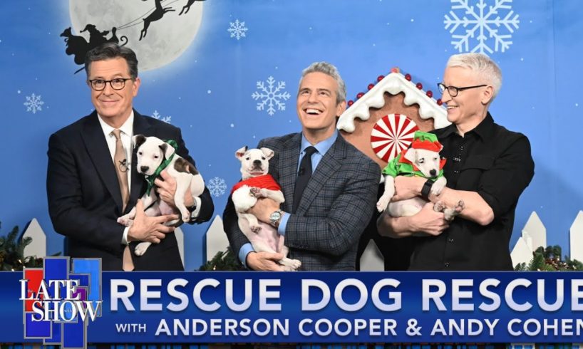 Rescue Dog Rescue with Anderson Cooper & Andy Cohen