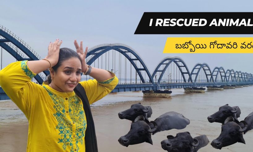 Rescued Animals in Godavari Floods Today || గోదావరి 🙏